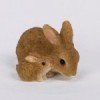 Rabbit Family 